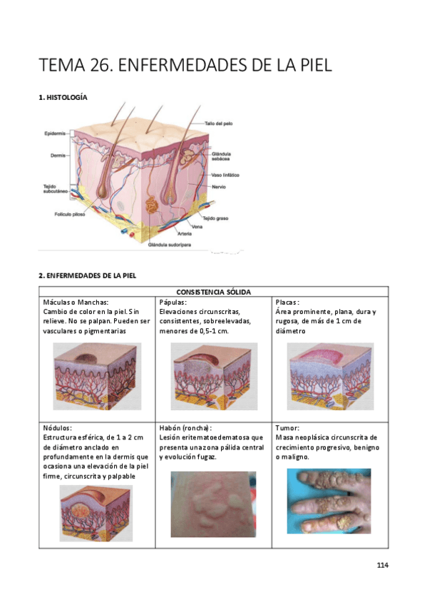 Miniatura del documento Apuntes-Dermatologia.pdf