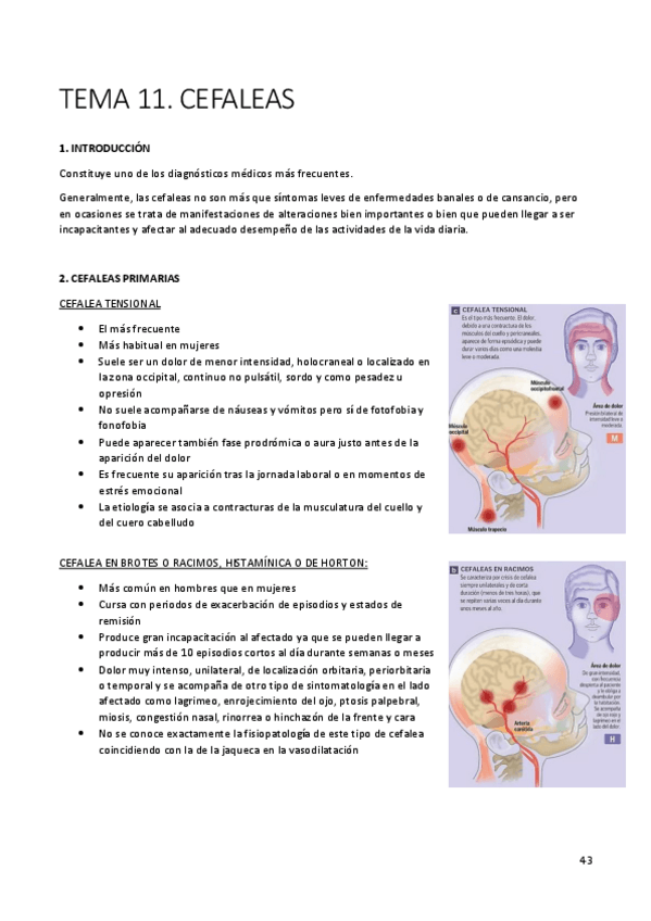 Miniatura del documento Apuntes-Neurologia.pdf