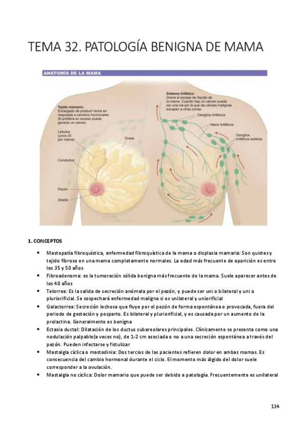 Miniatura del documento Apuntes-Mama-y-Torax.pdf