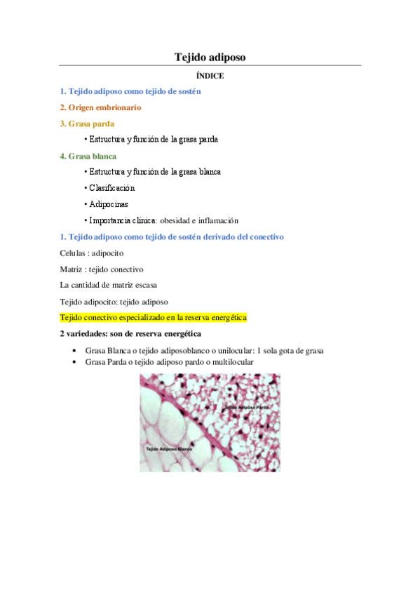 Miniatura del documento Tejido-adiposo.pdf