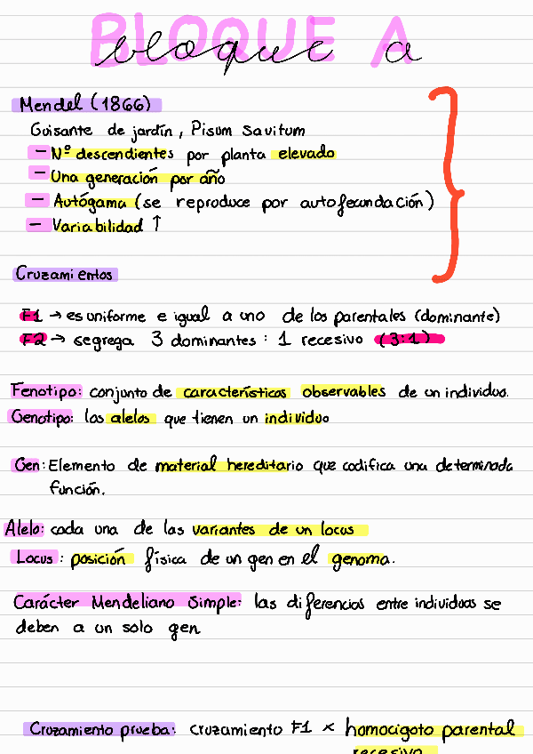 Miniatura del documento Hoja-resumen-bloque-A230606183914.pdf