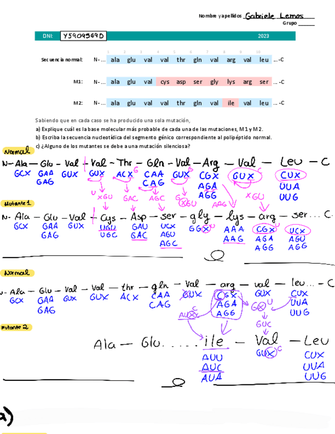 Miniatura del documento e7-Mutaciones-1230420224025.pdf