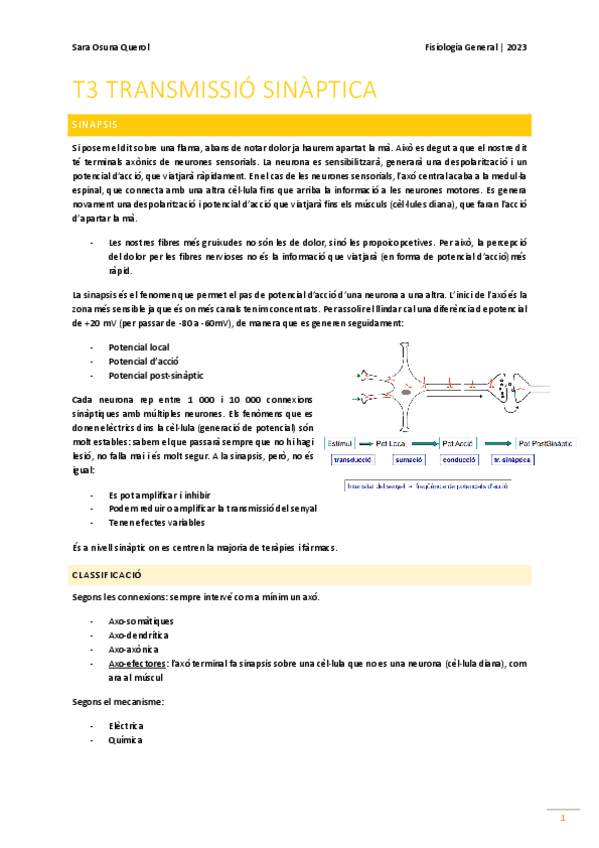 Miniatura del documento t3 - transmissió sinàptica.pdf