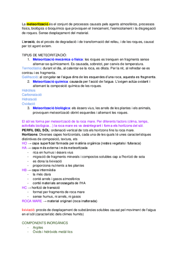 Miniatura del documento EL-SOL.pdf