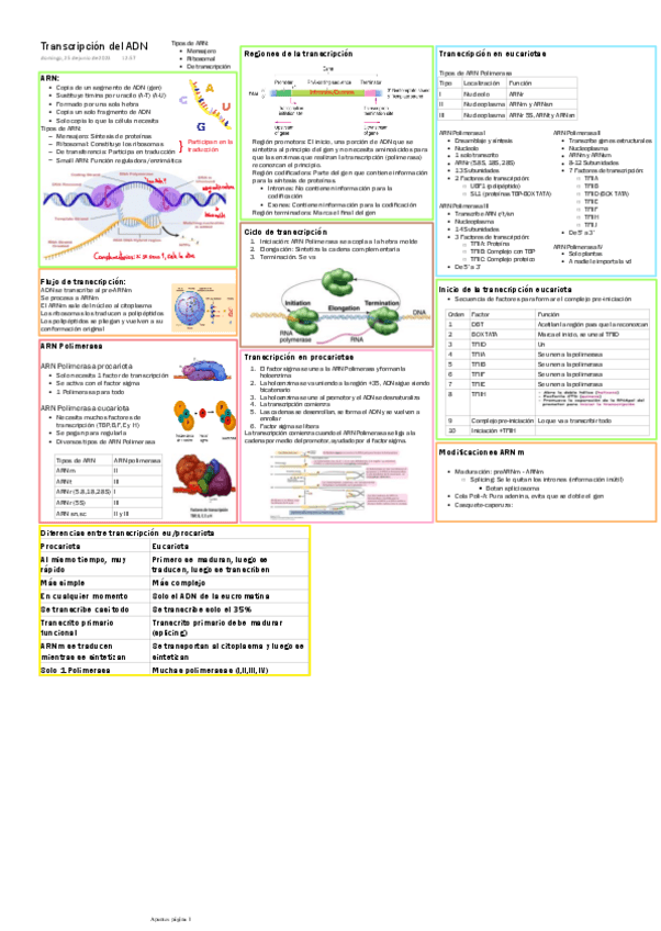 Miniatura del documento Transcripcion-del-ADN.pdf