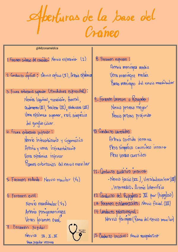Miniatura del documento BASE-DEL-CRANEO-AGUJEROS.pdf