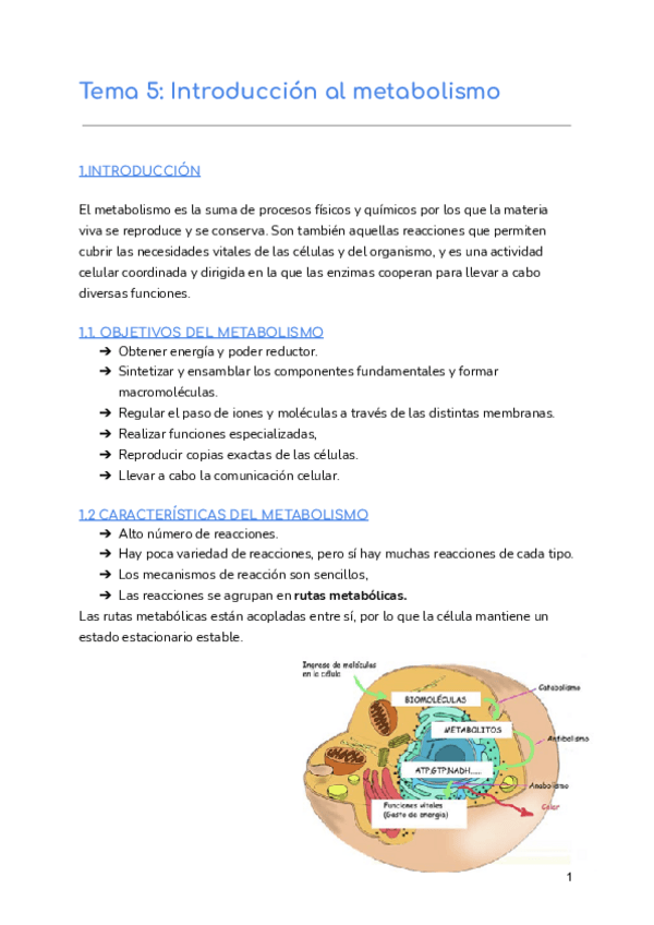 Miniatura del documento Tema-5-Introduccion-al-metabolismo.pdf