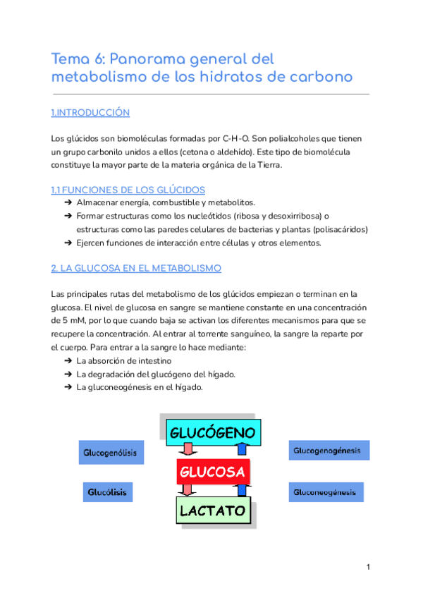 Miniatura del documento Tema-6-Panorama-general-del-metabolismo-de-los-hidratos-de-carbono.pdf
