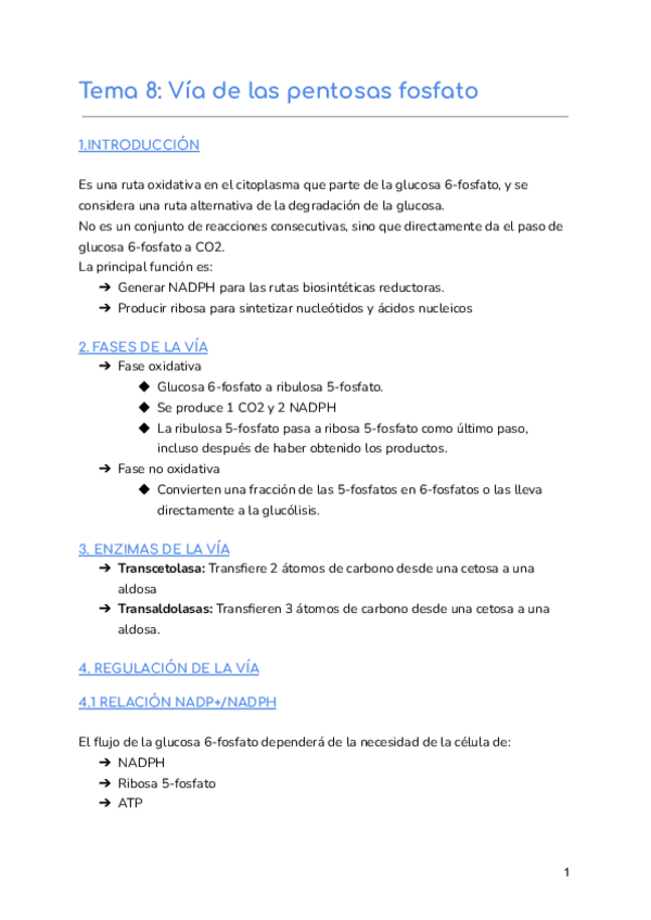 Miniatura del documento Tema-8-Via-de-las-pentosas-fosfato.pdf