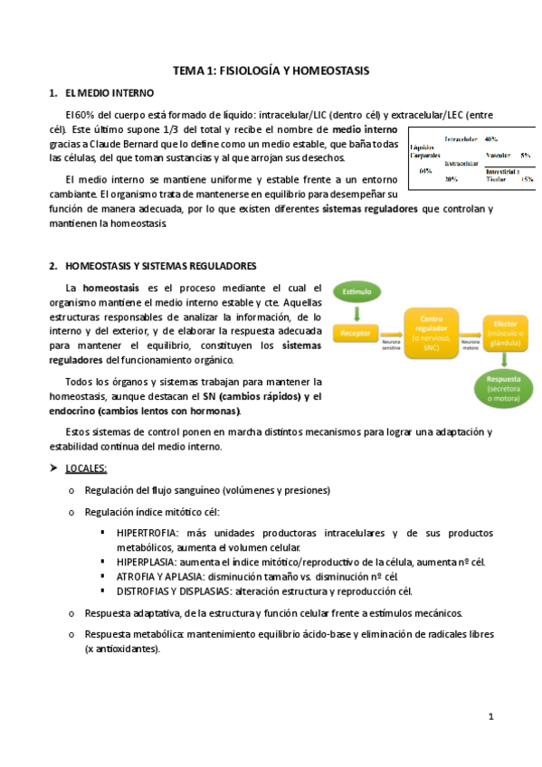 Miniatura del documento RESUMENES-PARTE-EVA.pdf