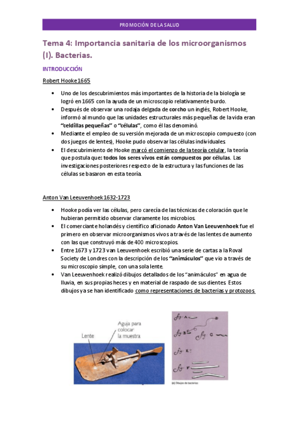 Miniatura del documento Tema-4-PROMOCION.pdf