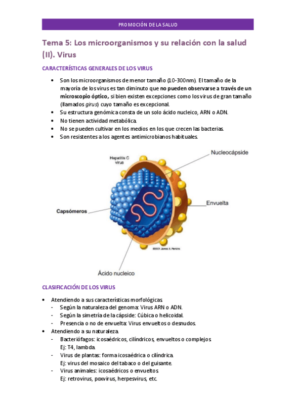 Miniatura del documento TEMA-5-PROMOCION.pdf