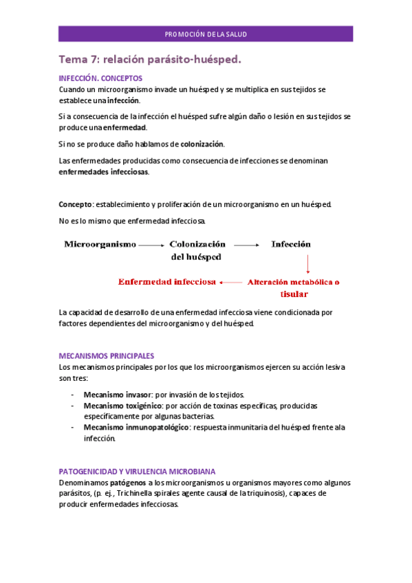 Miniatura del documento Tema-7-PROMOCION.pdf
