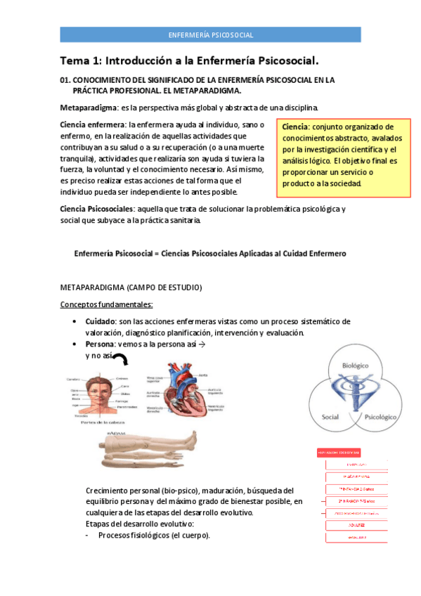 Miniatura del documento Tema-1-PSICOSOCIAL.pdf