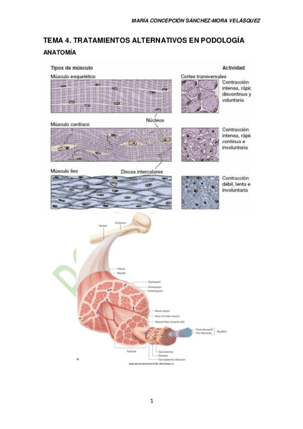 Miniatura del documento TEMA-4.pdf