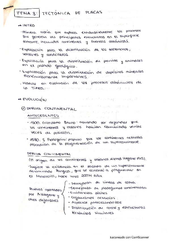 Miniatura del documento TEMA-3-GEO.pdf