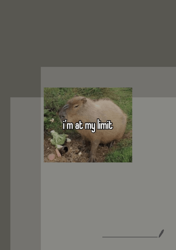 Miniatura del documento tema-4-successions.pdf