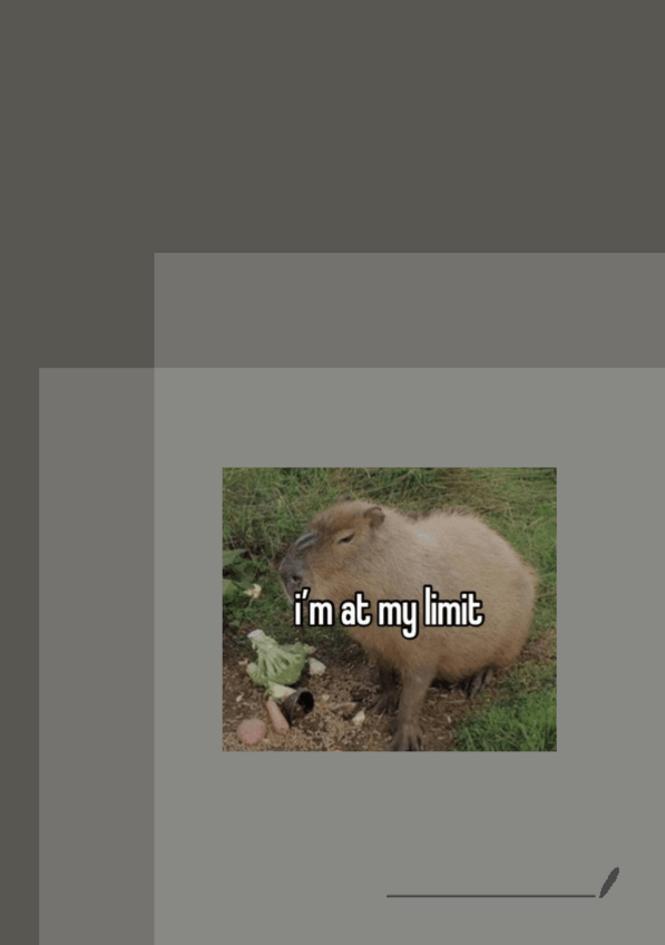 Miniatura del documento tema-8-aplicacions-de-derivades.pdf