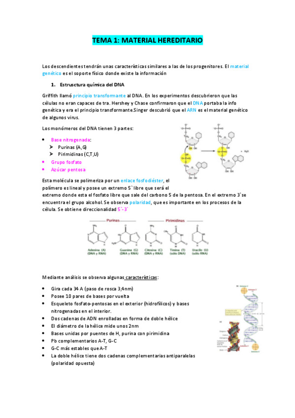 Miniatura del documento TEMA-1.-Material-hereditario.pdf