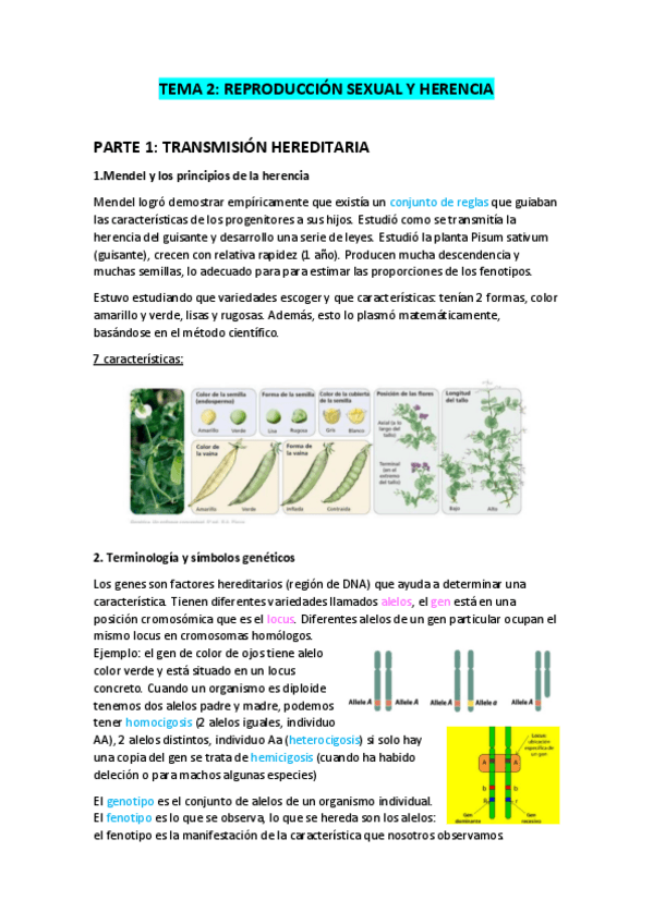 Miniatura del documento TEMA-2.-Reproduccion-sexual-y-herencia.pdf
