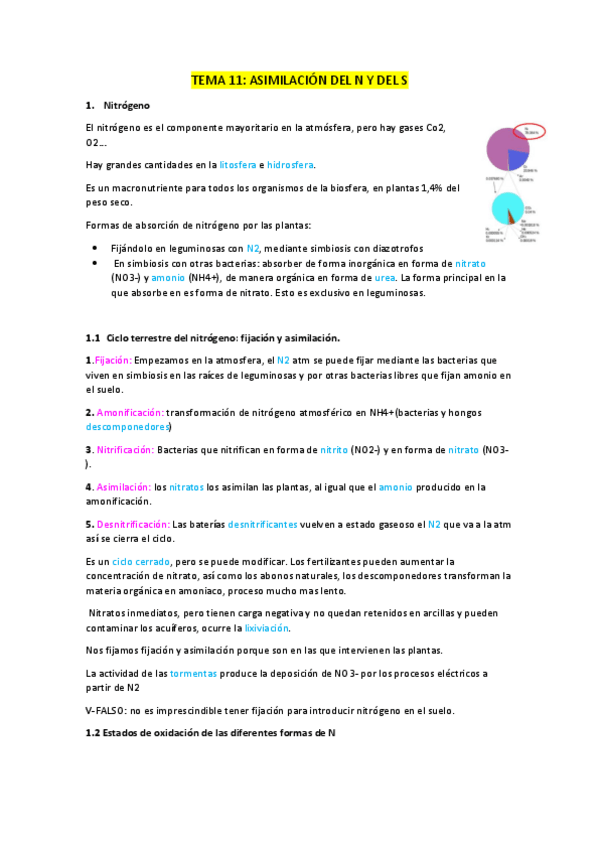 Miniatura del documento TEMA-11.-Ciclo-del-N-y-S.pdf