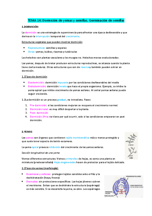 Miniatura del documento Tema-14-.-Dormicion-y-germinacion.pdf