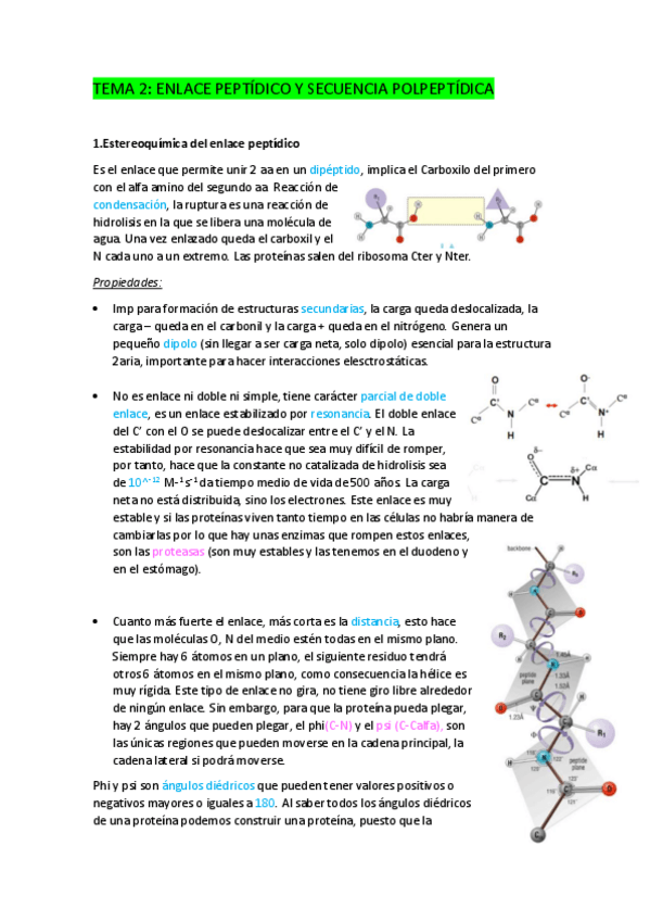 Miniatura del documento TEMA-2.-Enlace-peptidico-y-secuencia-polipeptidica.pdf
