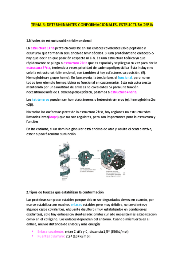 Miniatura del documento TEMA-3.-Estructura-2aria.pdf