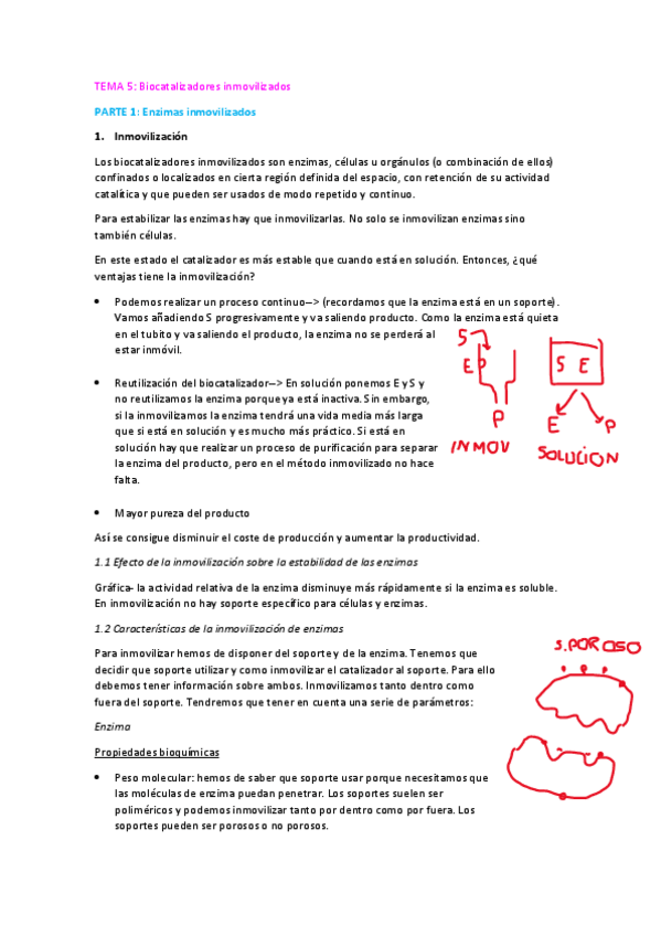 Miniatura del documento 5.-Biocatalizadores-inmovilizados.pdf