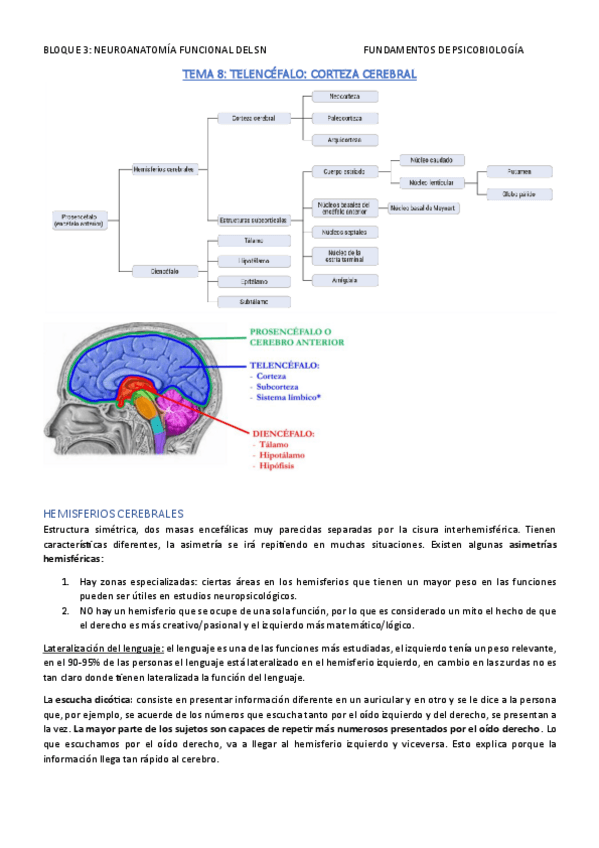 Miniatura del documento FUND.-DE-PSICOBIOLOGIA-TEMA-8.pdf