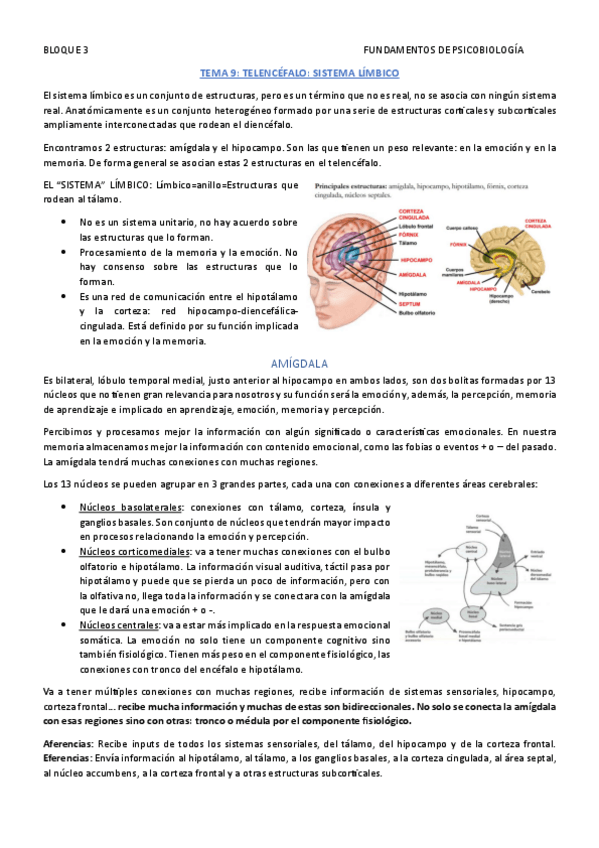 Miniatura del documento FUND.-DE-PSICOBIOLOGIA-TEMA-9.pdf