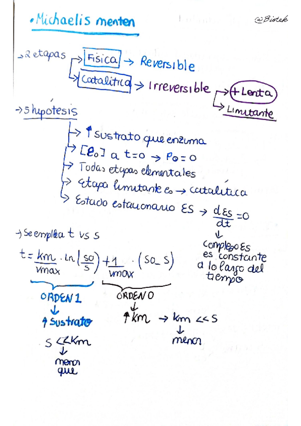 Miniatura del documento Apuntes completos ( Esquemáticos y sencillos para estudiar).pdf