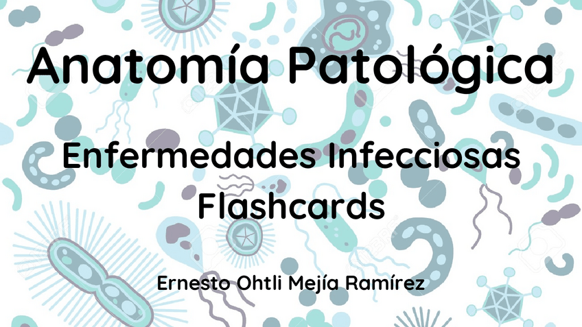 Miniatura del documento Bacteriologia-Flashcards-de-Microbiologia.pdf