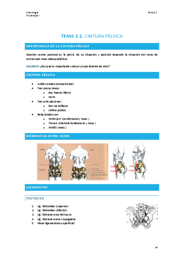 Miniatura del documento TEMA-2.2-CINESIOLOGIA.pdf
