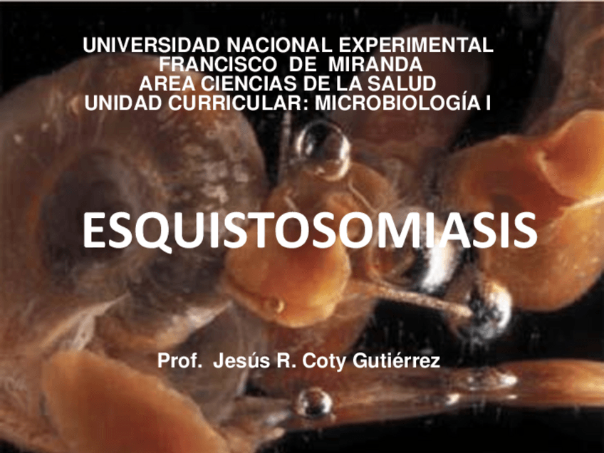 Miniatura del documento ESQUISTOSOMIASIS.pdf