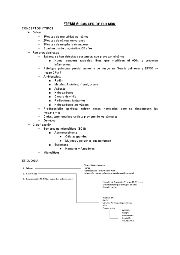 Miniatura del documento TEMA-6-CANCER-DE-PULMON-2.pdf