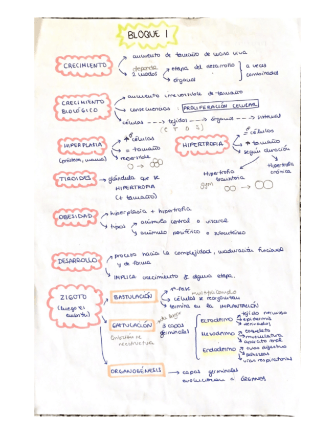 Miniatura del documento Esquemas.pdf