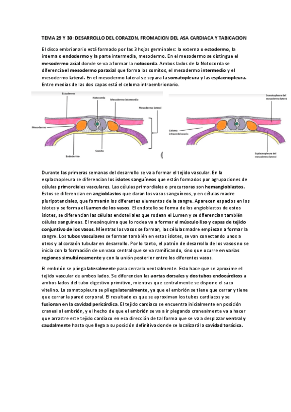 Miniatura del documento TEMA-29-Y-30.pdf