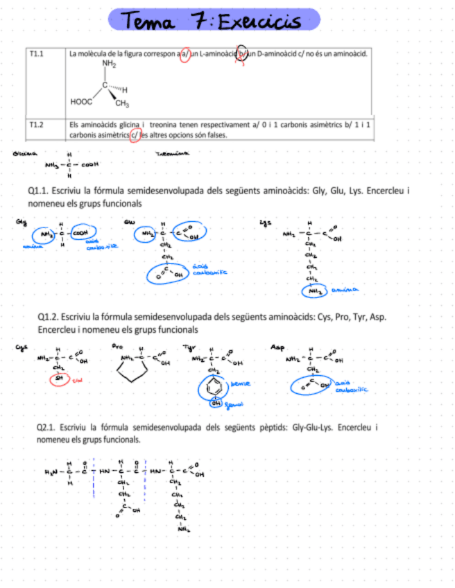 Miniatura del documento Tema-7exercicis.pdf