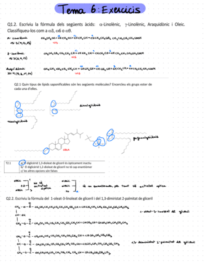 Miniatura del documento Tema-6exercicis.pdf