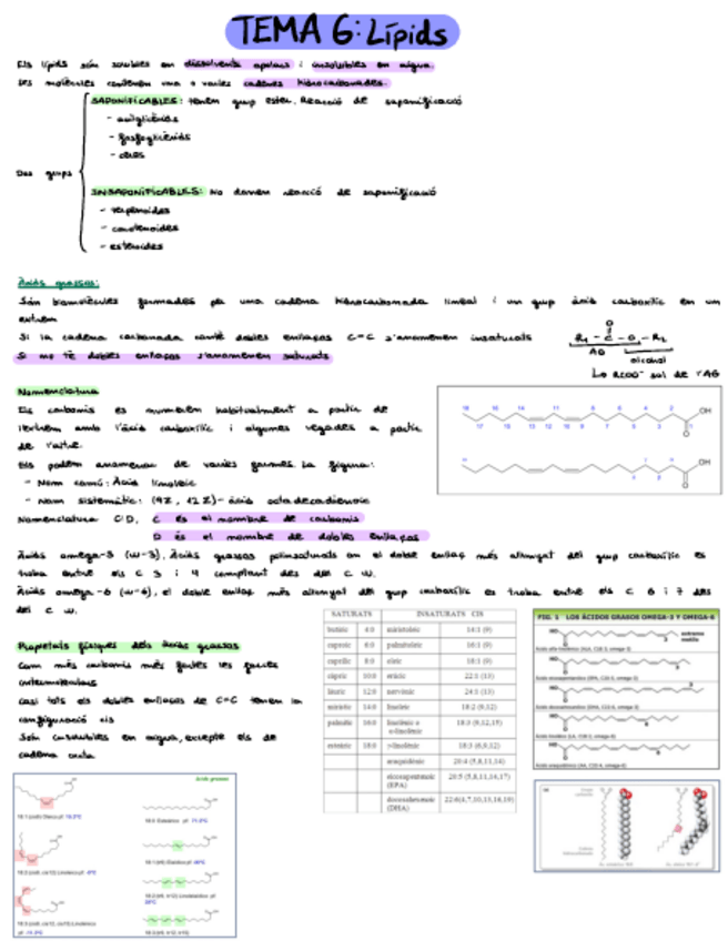 Miniatura del documento Tema-6apunts.pdf