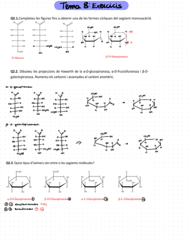Miniatura del documento Tema-8exercicis.pdf