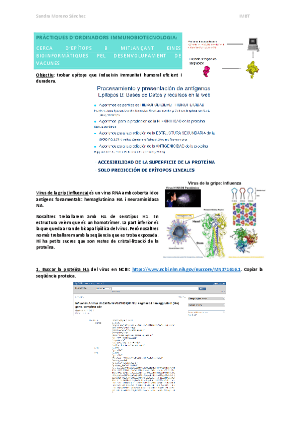 Miniatura del documento IMBT-practiques-ordinador.pdf