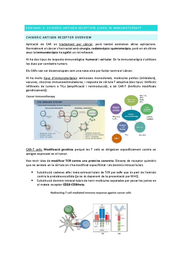 Miniatura del documento IMBT-seminari-2.pdf