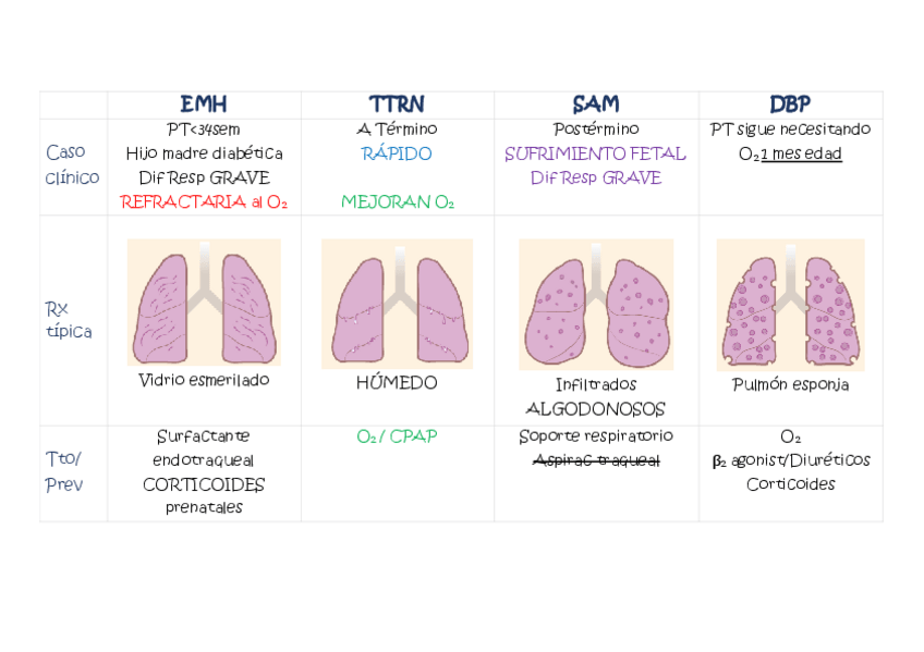 Miniatura del documento NeonatologiaRESPIRATORIO.pdf