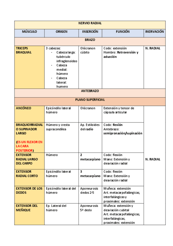 Miniatura del documento NERVIO-RADIAL.pdf