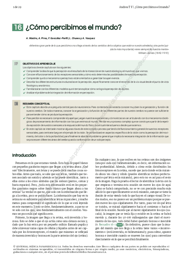 Miniatura del documento 16.-Como-percibimos-el-mundo.pdf