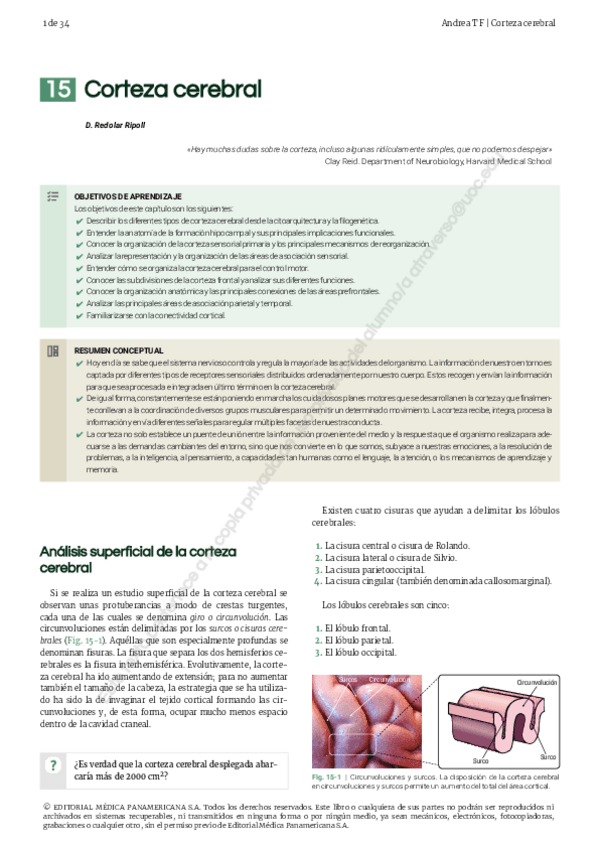 Miniatura del documento 15.-Corteza-Cerebral.pdf