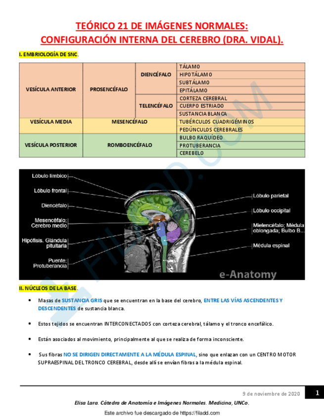 Miniatura del documento TEORICO21DEIMAGENESNORMALESCONFIGURACIONINTERNADELCEREBRO.pdf