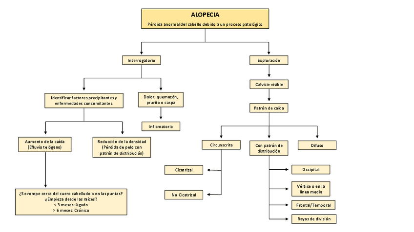 Miniatura del documento Alopecia.pdf